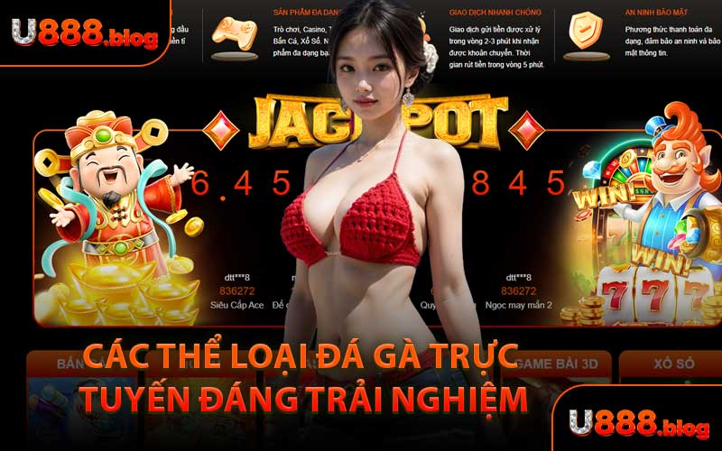 Các Thể Loại Đá Gà Trực Tuyến Đáng Trải Nghiệm