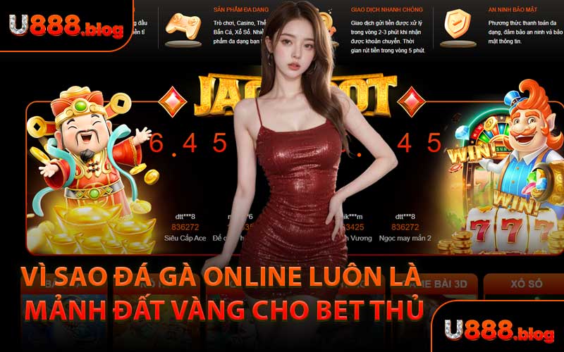 Vì Sao Đá Gà Online Luôn Là Mảnh Đất Vàng Cho Bet Thủ